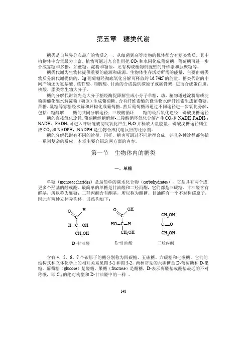 糖类代谢