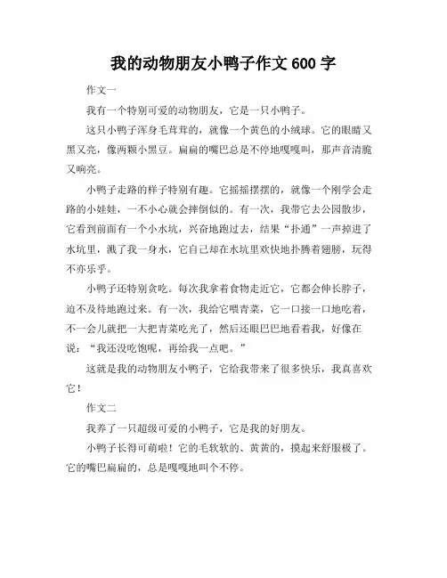 我的动物朋友小鸭子作文600字