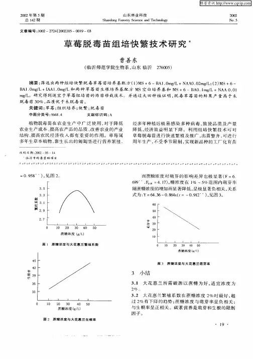草莓脱毒苗组培快繁技术研究