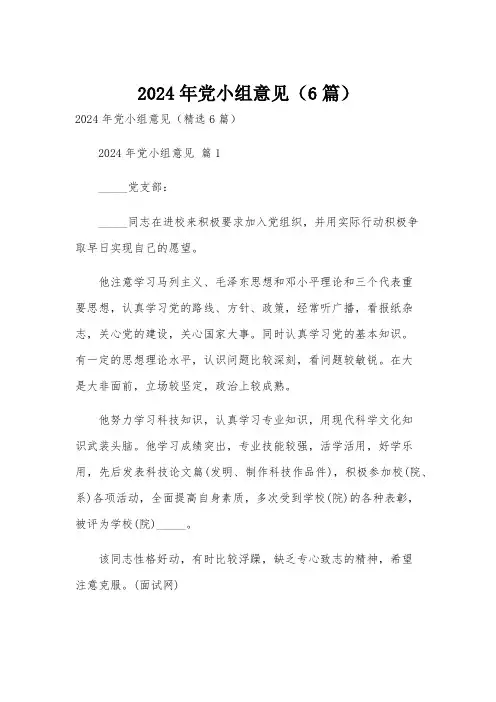 2024年党小组意见(6篇)