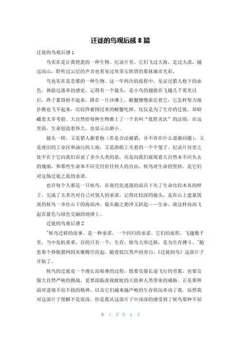 迁徙的鸟观后感8篇