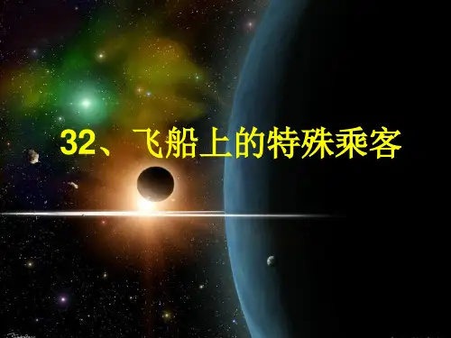 32飞船上的特殊乘客24页PPT