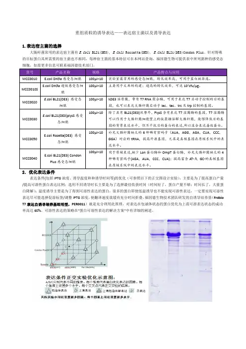 重组质粒的诱导表达——表达宿主菌的选择