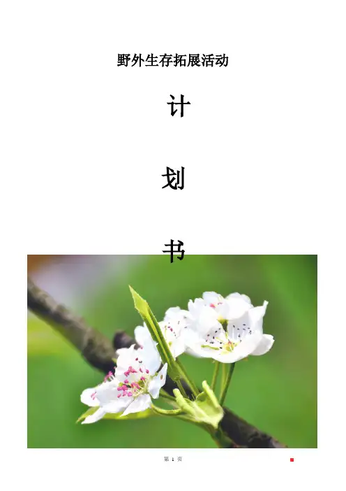野外生存拓展活动计划书