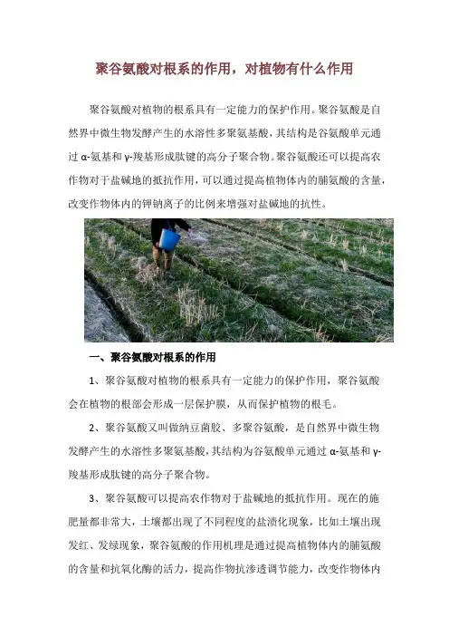 聚谷氨酸对根系的作用,对植物有什么作用