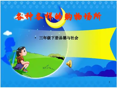 (精选)各种各样的购物场所