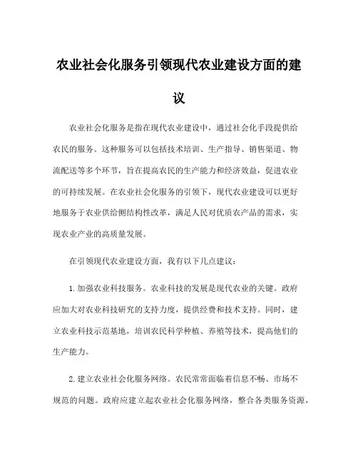 农业社会化服务引领现代农业建设方面的建议