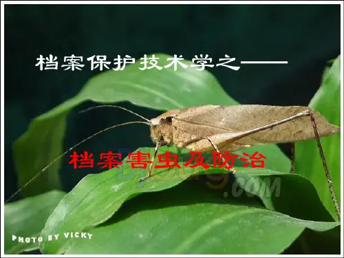 档案害虫及防治