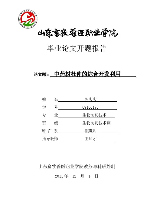 开题报告