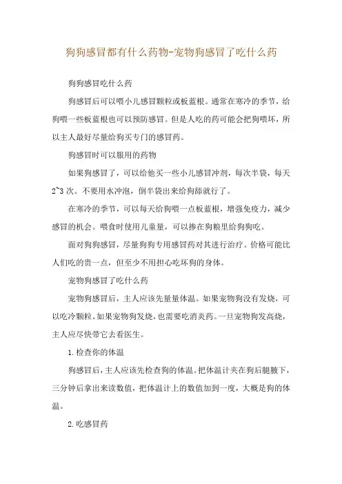 狗狗感冒都有什么药物-宠物狗感冒了吃什么药