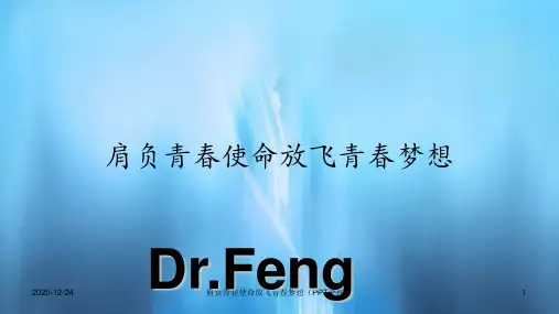 肩负青春使命放飞青春梦想(PPT课件)