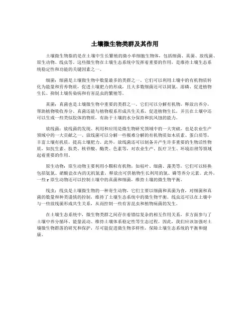 土壤微生物类群及其作用