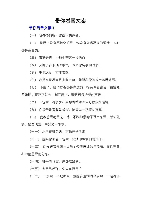 带你看雪文案