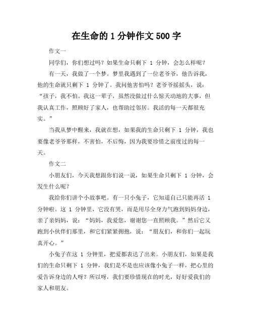 在生命的最后1分钟作文500字