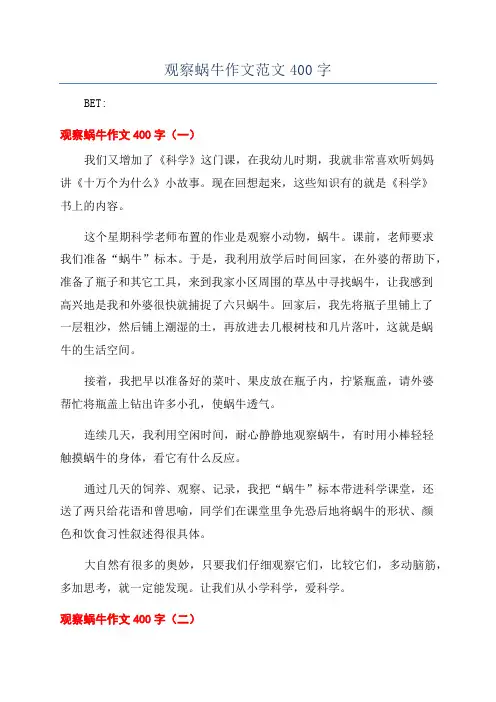 观察蜗牛作文范文400字
