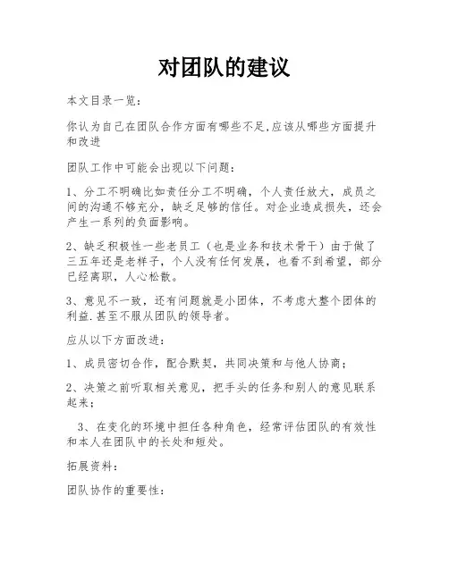 对团队的建议