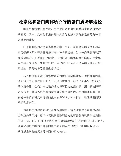 泛素化和蛋白酶体所介导的蛋白质降解途径