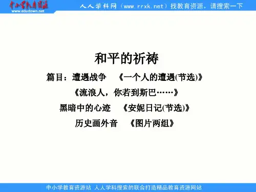 中职语文拓展模块《一个人的遭遇(节选)》ppt课件