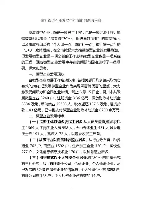 浅析微型企业发展中存在的问题与困难【范本模板】