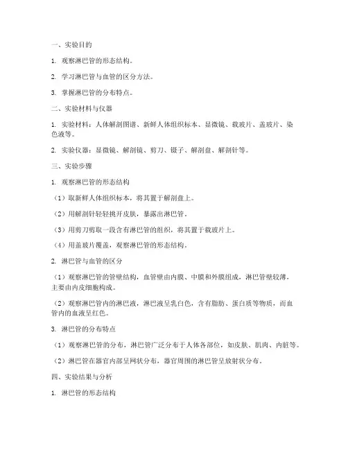 淋巴管实验报告
