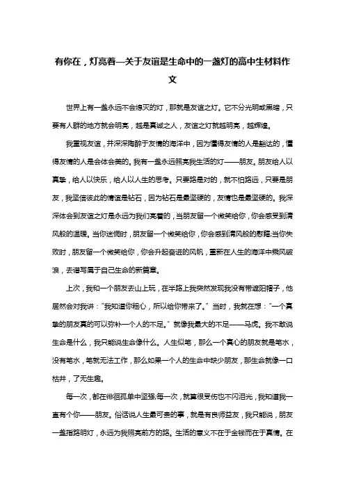 有你在,灯亮着—关于友谊是生命中的一盏灯的高中生材料作文_散文