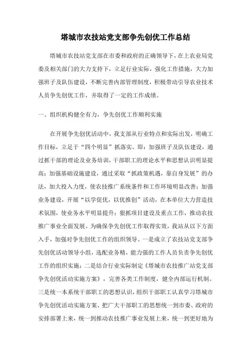 党支部争先创优工作总结