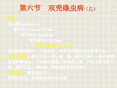 6节其他动物绦虫病