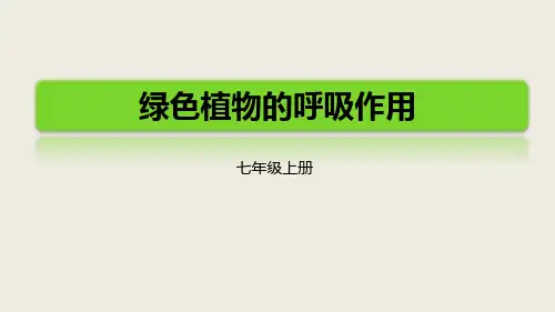 《绿色植物的呼吸作用》PPT课件