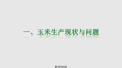 玉米种植技术河南农大PPT课件