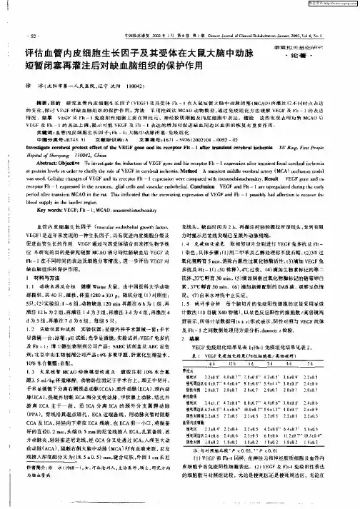 评估血管内皮细胞生长因子及其受体在大鼠大脑中动脉短暂闭塞再灌注后对缺血脑组织的保护作用
