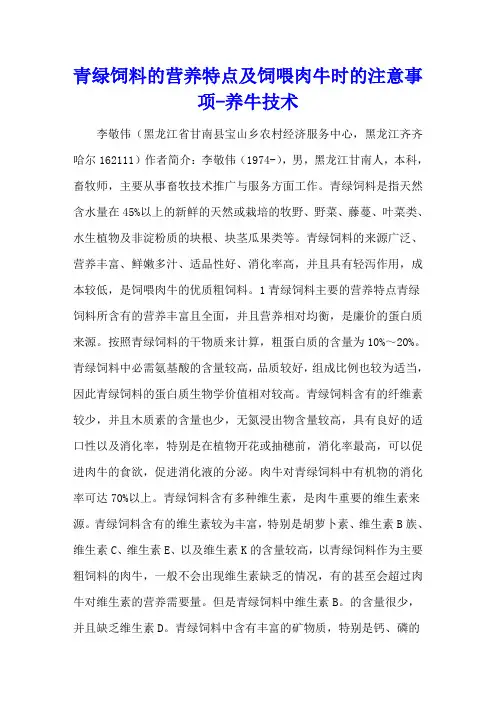 青绿饲料的营养特点及饲喂肉牛时的注意事项 - 养牛技术