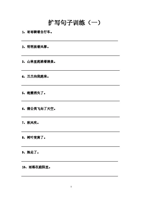 11.扩写句子训练(一、二、三)