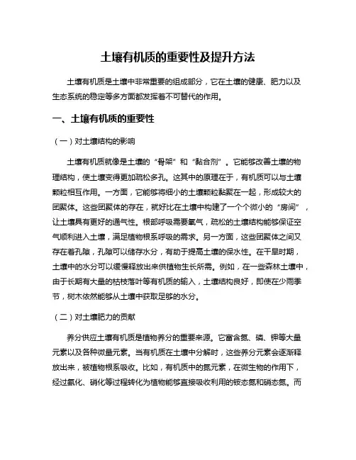 土壤有机质的重要性及提升方法