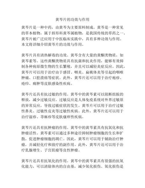 黄芩片的功效与作用