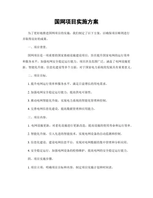 国网项目实施方案