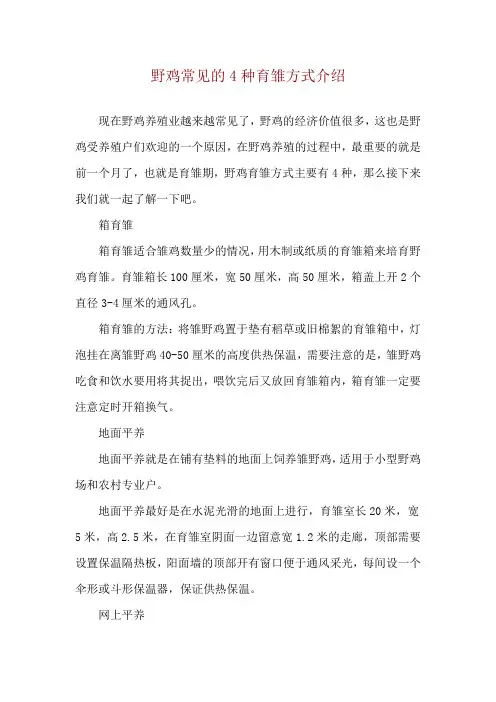 野鸡常见的4种育雏方式介绍