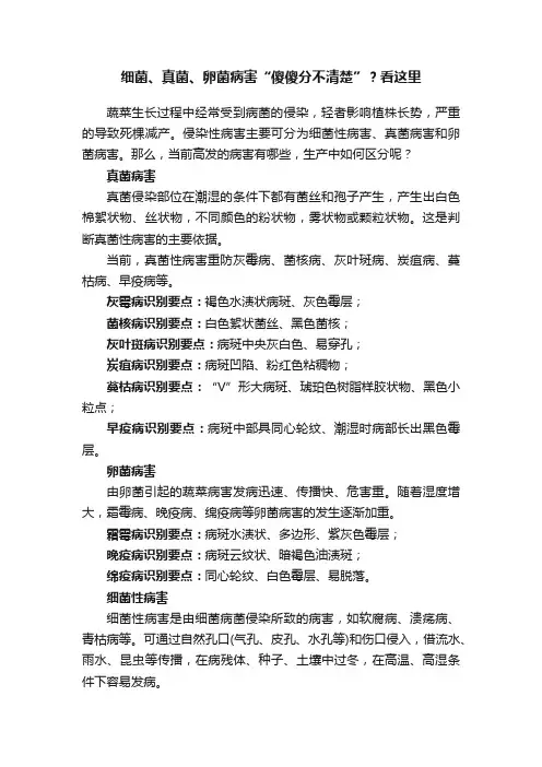 细菌、真菌、卵菌病害“傻傻分不清楚”？看这里