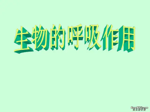 高一生物生物的呼吸作用课件 人教版 必修一