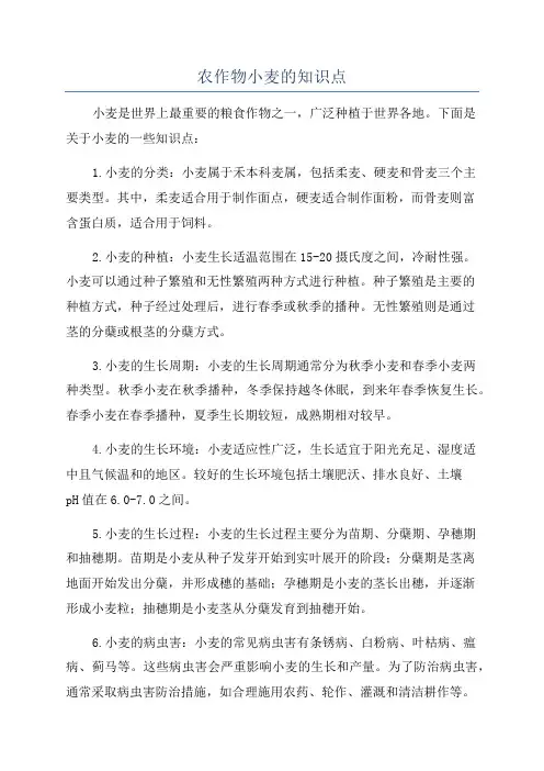 农作物小麦的知识点