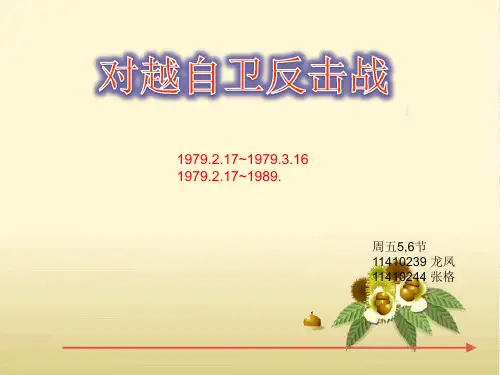 对越自卫反击战