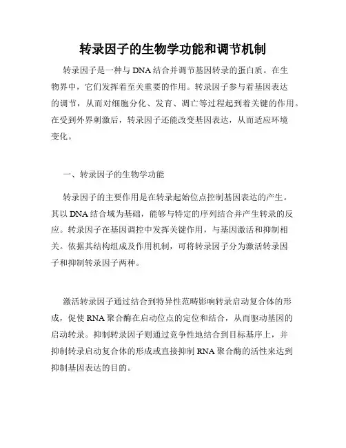 转录因子的生物学功能和调节机制