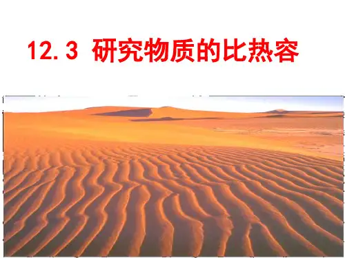 123探究物质的比热容PPT课件