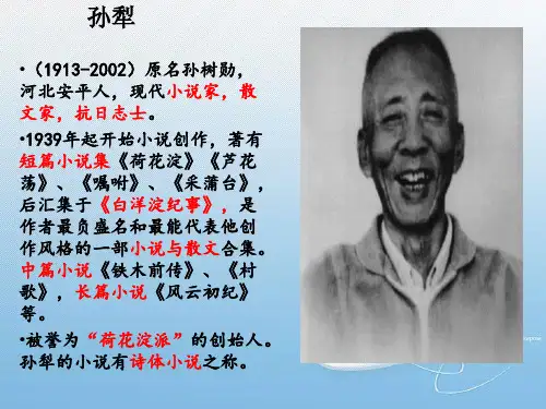 《山地回忆》完整课件