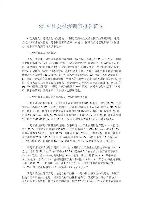 总结报告-2019社会经济调查报告范文 精品