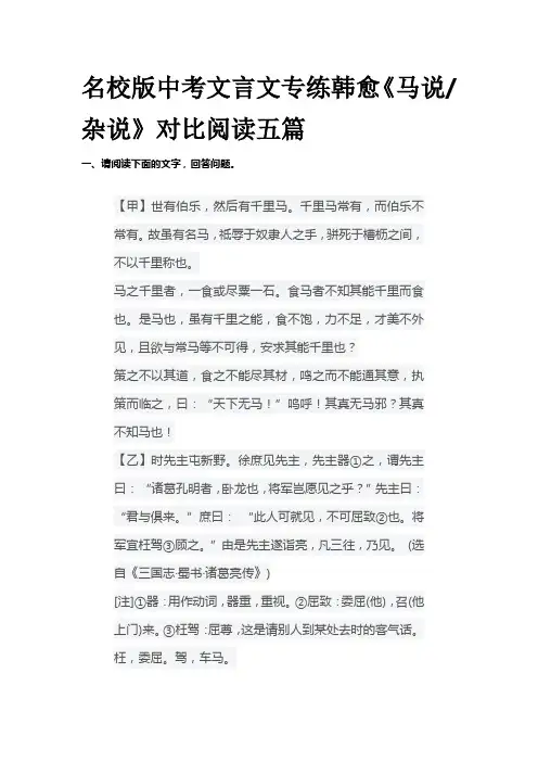 名校版中考文言文专练韩愈《马说 杂说》对比阅读五篇