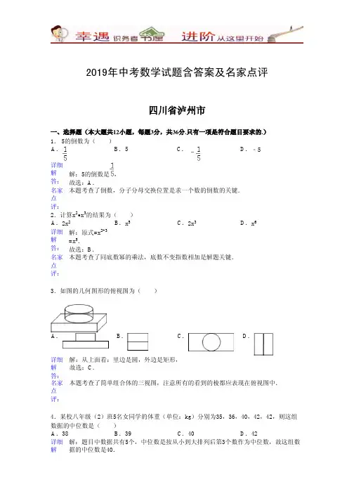 2019年中考数学试题含答案及名家点评：泸州市