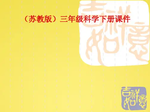 苏教版小学三年级科学下册我们周围的土壤(共10张PPT)