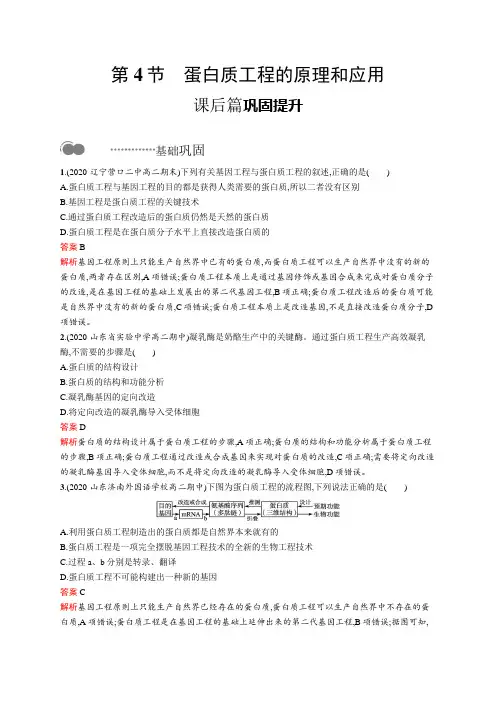 高中生物选择性必修三  第3章 第4节 蛋白质工程的原理和应用