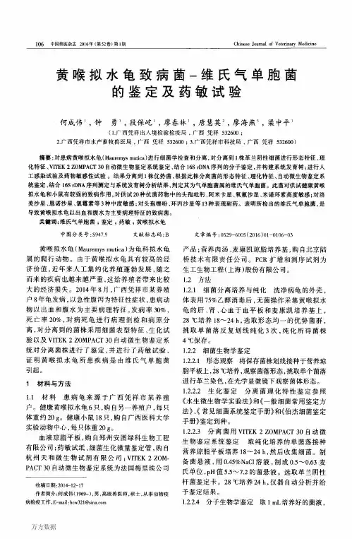 黄喉拟水龟致病菌-维氏气单胞菌的鉴定及药敏试验