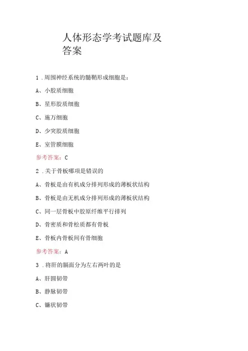 人体形态学考试题库及答案